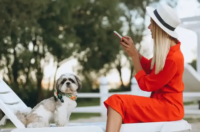 Alquiler vacacional pet-friendly: qué tener en cuenta	